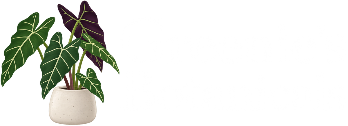Background-image